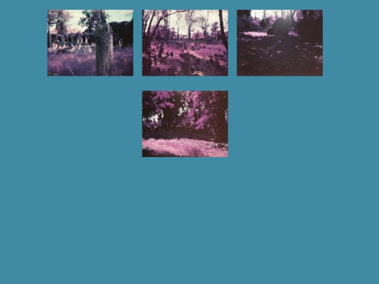 photography screenshot