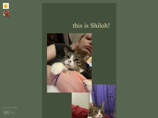caitxkitty.shiloh screenshot