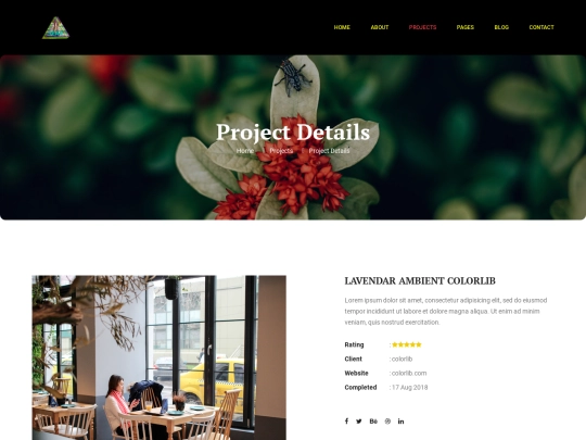 project-details screenshot