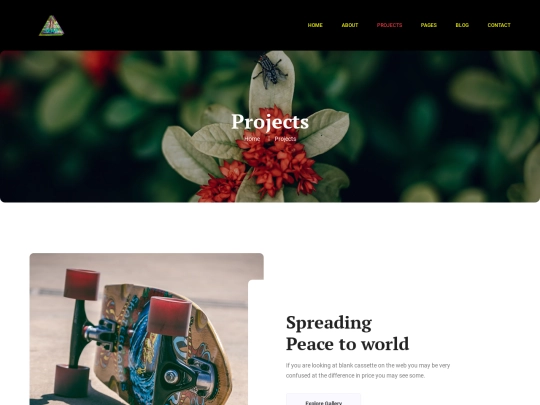 projects screenshot