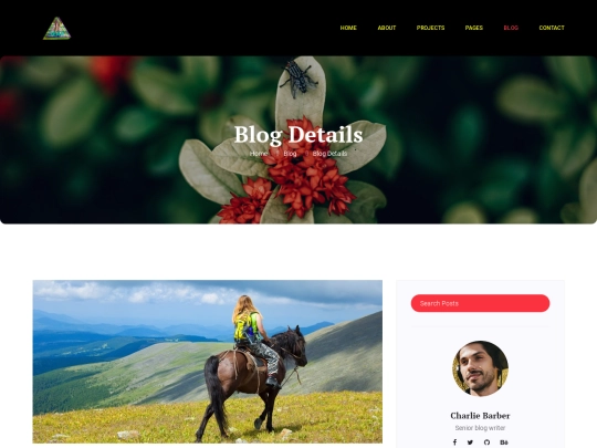 single-blog screenshot