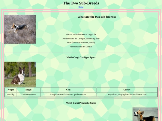 pagec screenshot