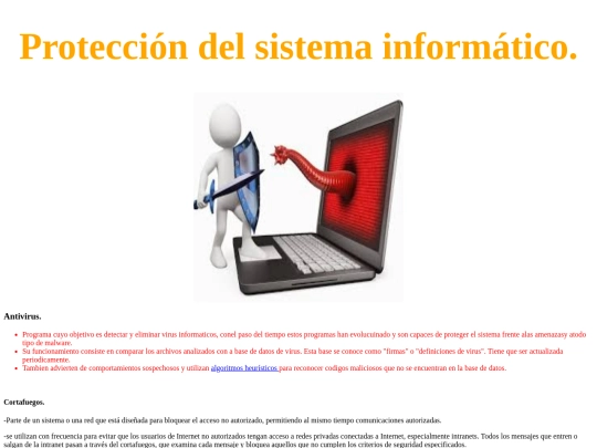 seguridad en la red/proteccion_del_sistema_informatico screenshot