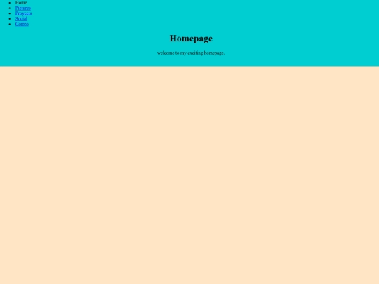 Homepage screenshot