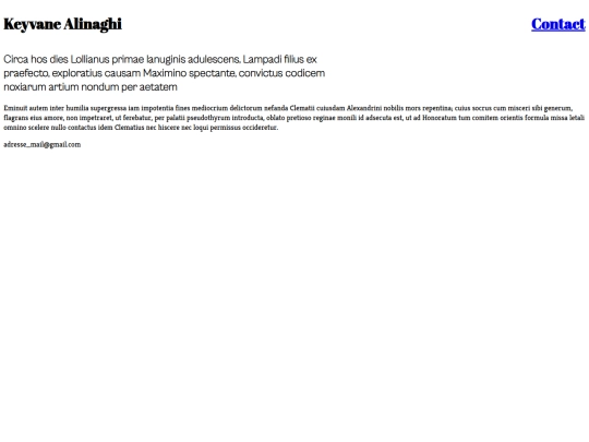 template_portfolio_1/contact screenshot