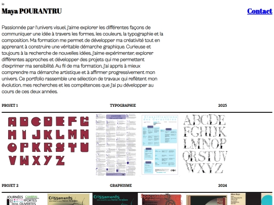 template_portfolio_1 screenshot