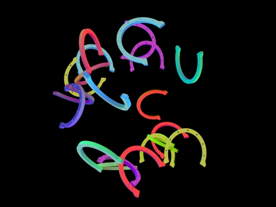 horseshoe screenshot