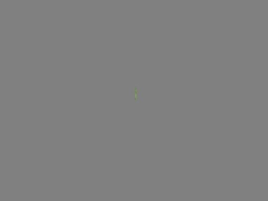 plant screenshot