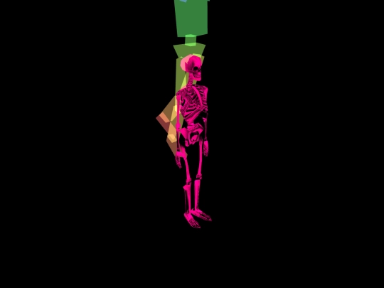 skelly-inside screenshot