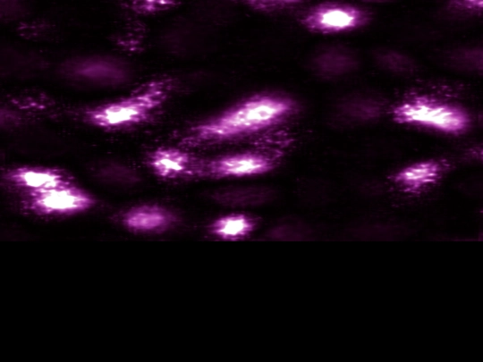 spooky screenshot