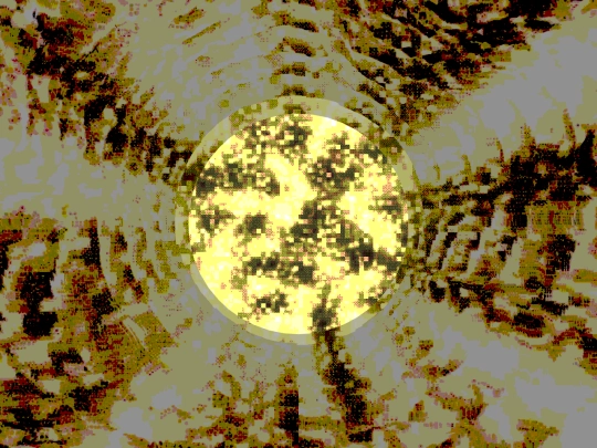 sunbeam screenshot