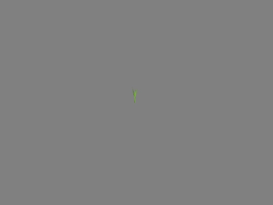 wip/plant1 screenshot