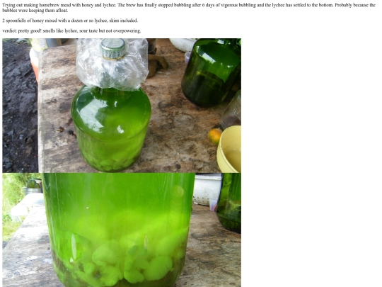 writeups/homebrew-lychee-honey-jul-2019 screenshot