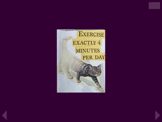zine/exercise-exactly-4-minutes-per-day screenshot