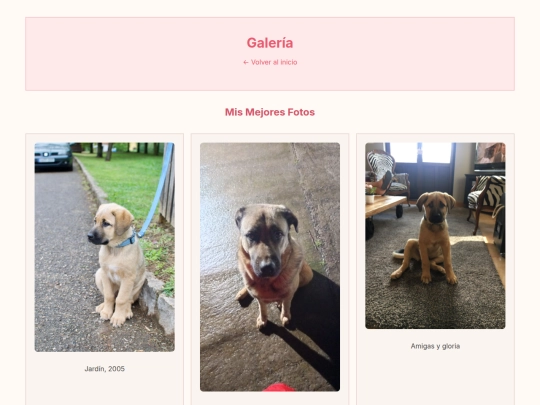 galeria screenshot