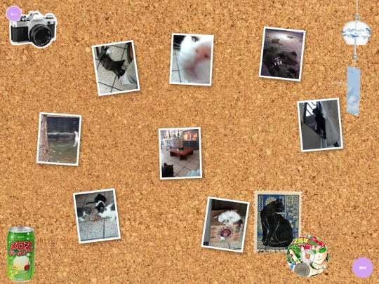 galeria screenshot