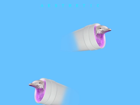 html/trippy screenshot