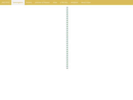 lemongeton/lemongeton screenshot