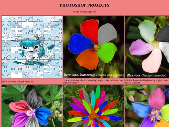 PhotoShopWebpage2 screenshot