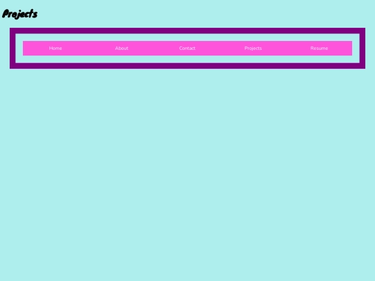 projects screenshot