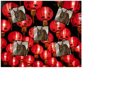 test10 screenshot