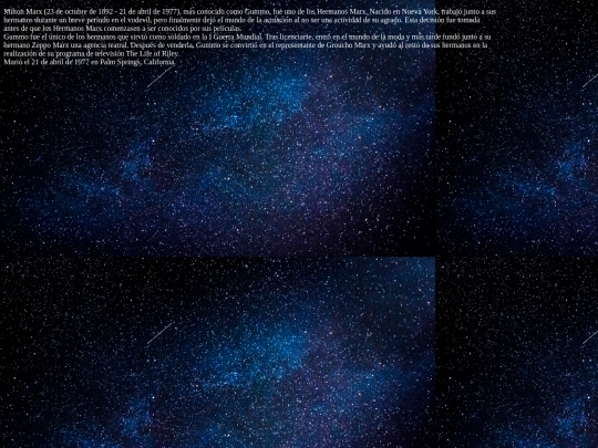 proyecto final/gummo screenshot