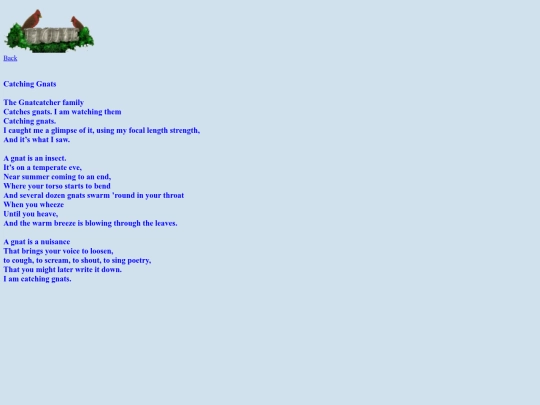catchingnats screenshot
