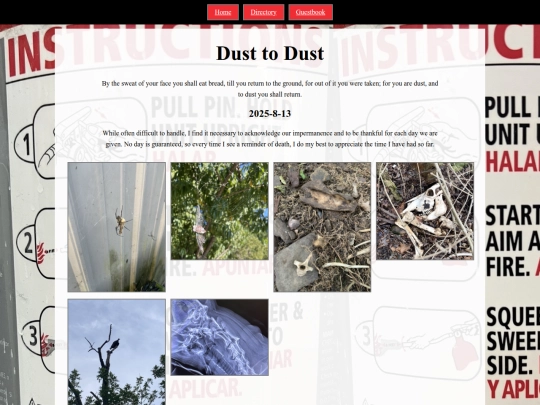 dusttodust screenshot