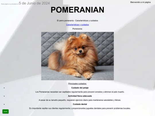 mipagina screenshot