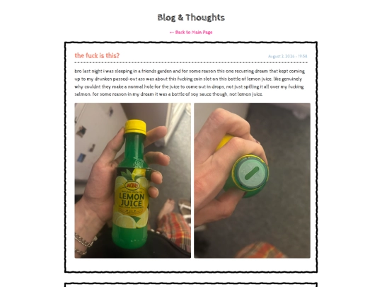 blog screenshot