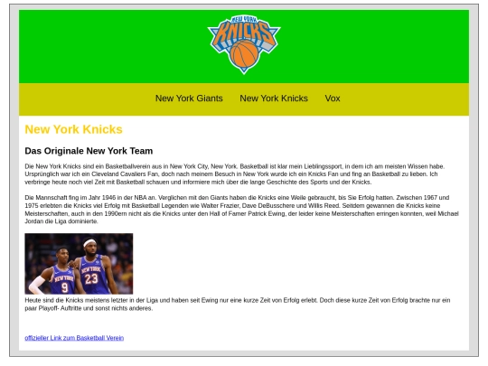 knicks screenshot