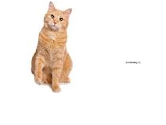 angrycat screenshot