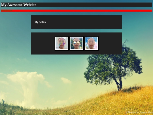 picture screenshot