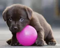 Images/ba23dfb02854291ae1e735c4d66b36a7.jpg