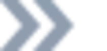 zazonn/imagenes/puce1.png