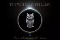 images/Nyctophillia foto.png