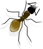 mod2/hormiga2.png