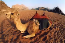 images/BestOf35mm/JordanCamel.8x12.jpg