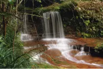 images/BestOf35mm/SarawakWaterfalls.8x12.jpg
