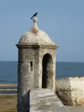images/Cartagena2016/P1000386-r652.50.jpg