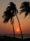 images/Cartagena2016/P1000427-r652.50.jpg