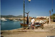 images/LosCabos1989/LosCabos001-r652.50.jpg