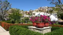 images/LosCabos2016/P1020038-r652.50.jpg