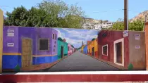 images/LosCabos2016/P1020120-r652.50.jpg