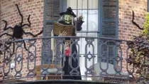 images/NOLA2016/P1020537-r597.50.jpg