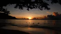 images/Seychelles/P1020386-r.jpg