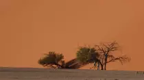images/SouthernAfrica2016/Namibia/P1000757-r652.50.jpg