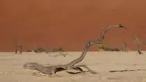 images/SouthernAfrica2016/Namibia/P1000786-r652.50.jpg