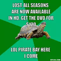turtlepirate.jpg.png