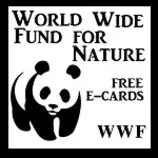 cards/wwf.jpg
